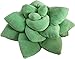 Succulent Cactus Décor Pillow for Green or Garden Lovers Green Nursery Living Room Accent 3D Shape to Create Your Life Size Lush Home Terrarium - SAGE Green
