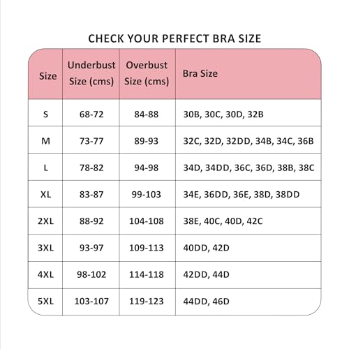 Image of SOIE Women Padded Non Wired Full Coverage Seamless T-Shirt Bra with Mesh Detailing