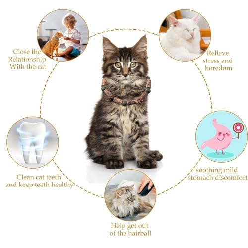 Image of cature Care by Nature Cat Catnip Toy,Teething Toy,Natural Cat Sticks,Teaser Toys,Chewing Toy,Molar Toy,Cat Chasing Toy,Dental Toy,Treats Interactive Cat Toys For Kitten Cat