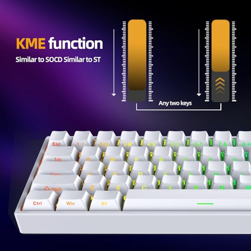 Image of IROK ND63PRO Rapid Trigger Magnetic Switch 60% TKL Hot Swapped Mechanical Keyboard, OKT Azure Switches RGB Programmable Wired Gaming Keyboard for Win /Mac Gamer - White