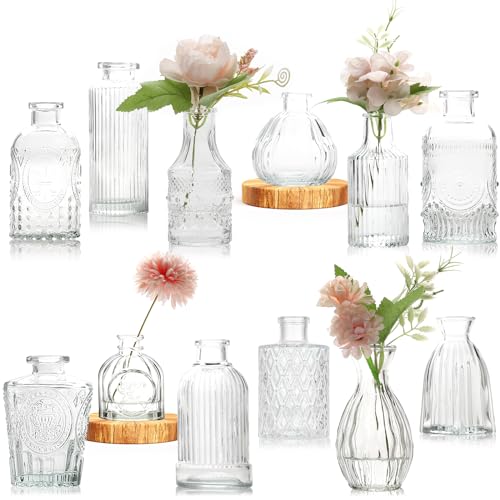 Lot de 12 Vases en Verre, Petit Vase en Verre Vintage Mini Vase Deko Set Différentes Tailles Vase de Fleurs pour Décorations de Mariage Transparent, Centre de Table