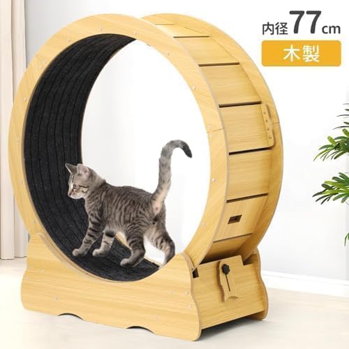 木製キャットホイール（猫用回し車） Amazon | キャットホイール 猫 ランニングマシン 回し車 猫 猫