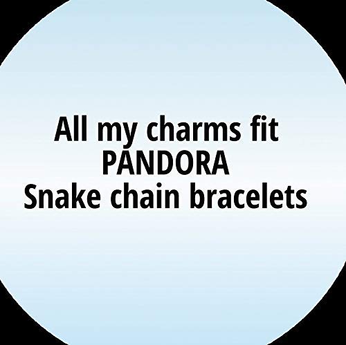 Microphone Music Note Charm With Bracelet, Necklace, Keychain, Clef G Note Charm, Microphone Pendant, Microphone Singer Jewelry For Teenage Girls And Women #TOP5