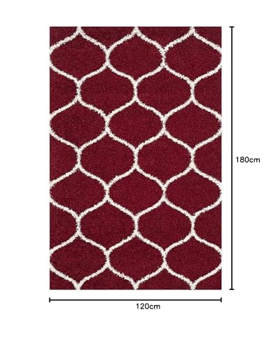 Image of Presence Gorgeous Design of Super Soft Shaggy Carpet for Living Room, Bedroom, Hall and Anywhere in Home. [4x6 feet]