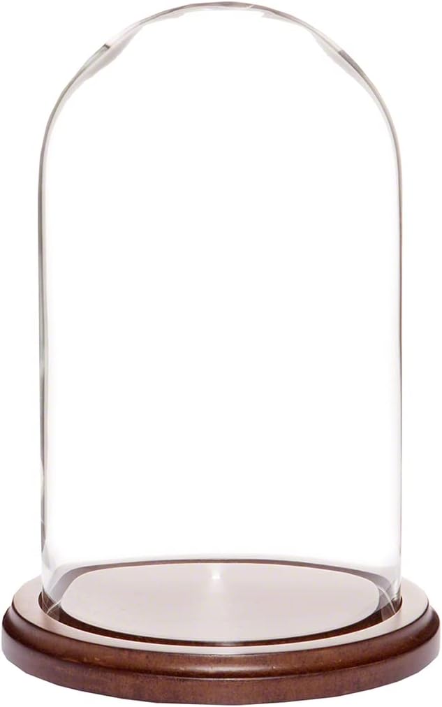 PlyMor Glass Doll Dome with Walnut Base 4.5" x 8", Walnut MDF base
