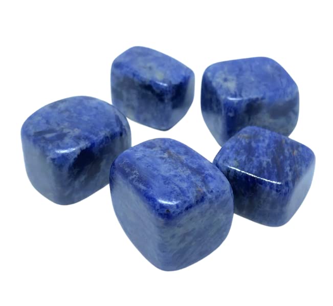 DVISHA Natural Lapis Lazuli Stone Tumble - Healing Crystal for Inner Wisdom and Intuition - Vastu Feng-Shui Gemstone - Authentic Lapis Lazuli from Trusted Source Chakra Reiki Healing Crystals.(5 PC)