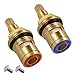 BlueXP 2 Pièces Cartouche de Rechange pour Robinet en Céramique 20 Crans Universelles de Rechange pour Robinet en Laiton avec Vis Rechange pour Robinet Cuisine Maison Salle de Bain Pièces de Robinet