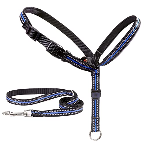 Find The Best Harness To Stop Pulling Reviews & Comparison Katynel