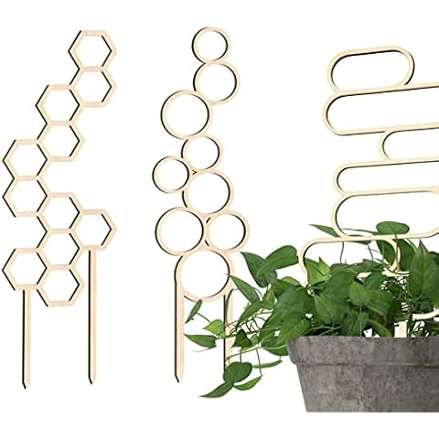 Decorify Treillis Plantes Grimpantes Cover