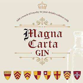 Discover Magna Carta Gin (42% ABV) – Award-Winning, Travel-Friendly London Dry Gin – Perfect for Your Next Adventure – Buy Today!