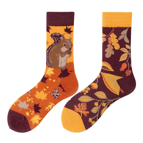 NxnChc Chaussettes Drôles Pour Femmes Et Hommes Unisexe Multi Motifs Écureuil Animaux Nourriture Sport Art Coton Cadeau Design Asymétrique Gauche-Droite