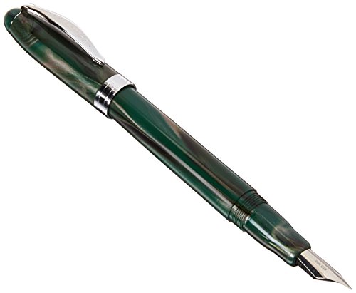 Noodler's Ink Ahab stylo plume à piston Huron anti panne d'encre
