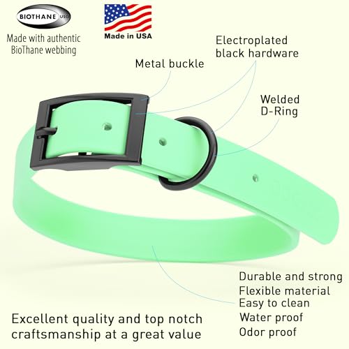 Image of Dogline Biothane Waterproof Dog Collar Strong Coated Nylon Webbing with Black Hardware Odor- Proof for Easy Care Easy to Clean High Performance Fits Small Medium or Large Dogs, Sea Foam Green
