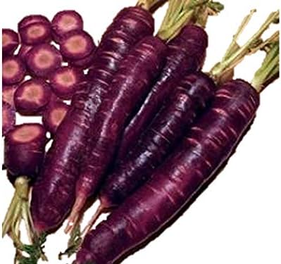 Amazon パープルドラゴン 紫龍 人参 種 30粒 野菜
