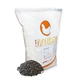 eivolution