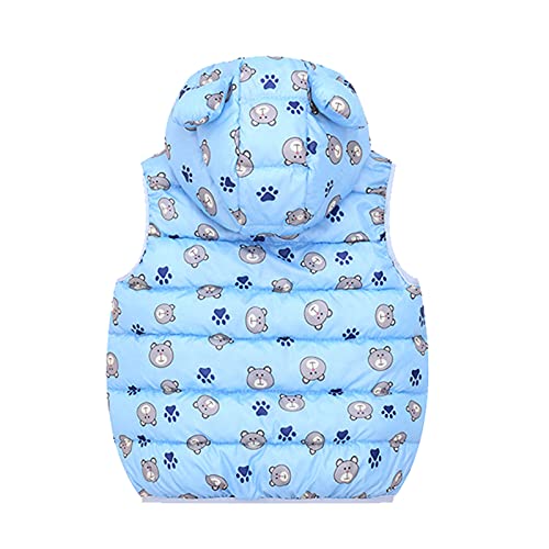 Baby Toddler Girls Boys Waistcoat Coat Autumn Winter Clothes 26 Years Old,Kid Dinosaur Hooded Tops Vest3