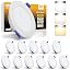 6w White 12 Pack