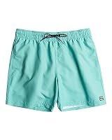 Billabong All Day Layback 16" - Schwimmshorts für Männer Blau – Ansicht 4