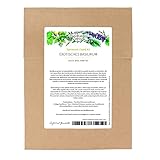 Magic Garden Seeds