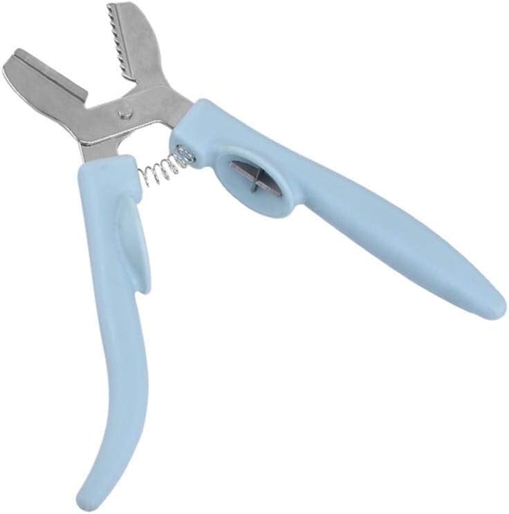 Stainless Steel Chestnut Clip New Creative Plastic Stainless Steel Walnut Clip Sheller Chestnut Walnut Opener Kitchen Tool Nutcrackers/Walnut Cracker (Color : Coffee) (Sky Blue)