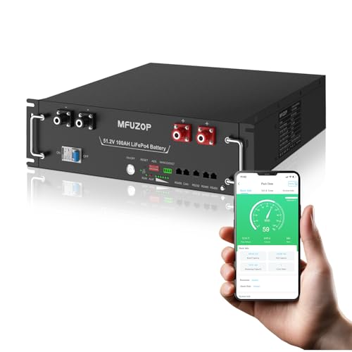 MFUZOP 48V 51.2V 100Ah �����_�S���`�E���C�I���o�b�e���[ LiFePO4 A���Z���̗p �f�B�[�v�T�C�N���o�b�e���[ �ő�5120W�̏o�� 5000��ȏ�T�C�N�� APP�R���g���[�� Bluetooth�@�\�t�� CAN/RS485�ʐM 