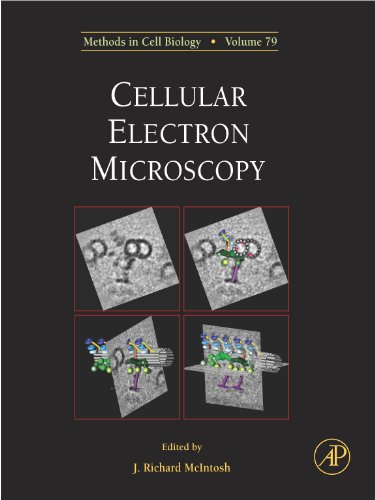 Cellular Electron Microscopy (Methods in Cell Biology Book 79)
