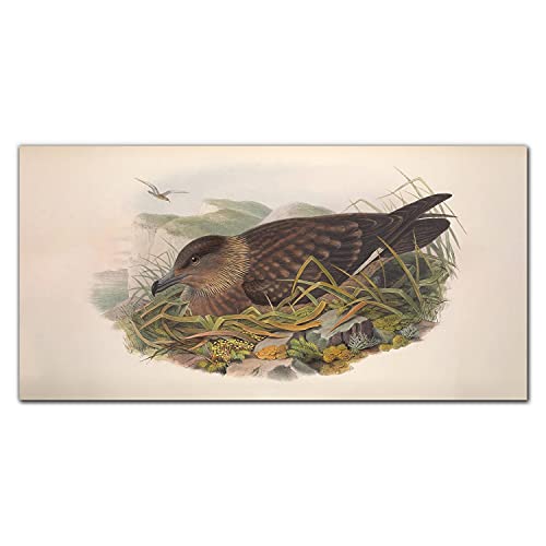 Toile oiseaux 140x70 cm pour créer un salon nature et cosy