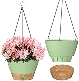 ZMTECH Hängetopf für Pflanzen, 20cm Blumentopf Ampel Hängend, Kunststoff Hänge Blumentopf mit Untersetzer für Außen Draußen Deko für Garten Balkon Wohnzimmer(2er-Set, Grün)