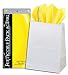 5ct White Paper Gift Bags + 10ct Gift Tissue