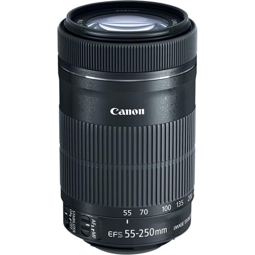 Amazon.com : Canon EF-S 55-250mm f/4-5.6 IS STM Lens | Compact