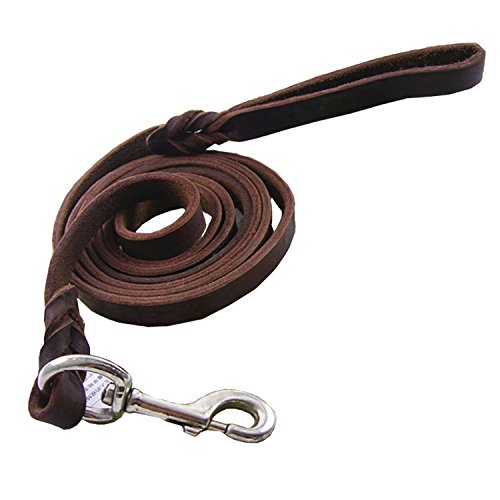 Creatwls Laisse d'entraînement classique en cuir tressé pour berger allemand Cover