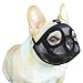 Muselière pour Chien en Maille Museau de Chien à Museau Court Muselière Réglable Bouledogue Français Anti-Mordillage/Mastication/Aboiement Couvre-bouche pour Bouledogue Anglais Pékinois Carlin