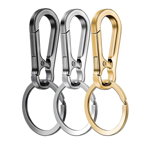 IJPDDRXYN 3 Pack Metal Keychains with Carabiner Clip, Key Ring