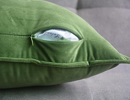 Lutanky Pack of 2 Velvet Cushion Covers Olive-Green Decorative Rectangle Throw Pillow Case Soft Flanges Pillowcases for Sofa Bedroom with Invisible Zipper 12x20 Inch 30 x 50 cm