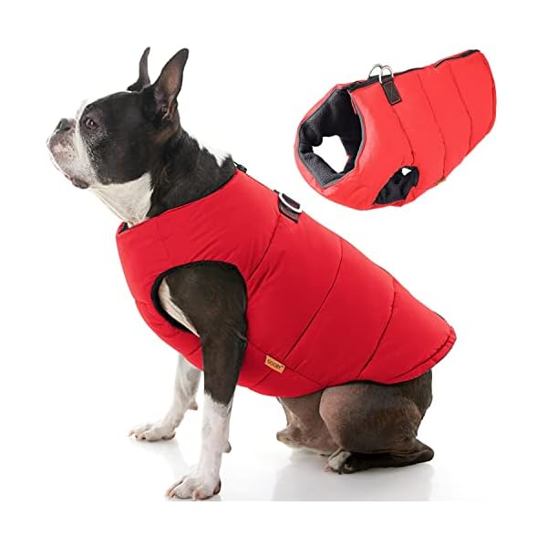 Padded Vest, Solid Red, Large Padded Vest, Solid Red, Large