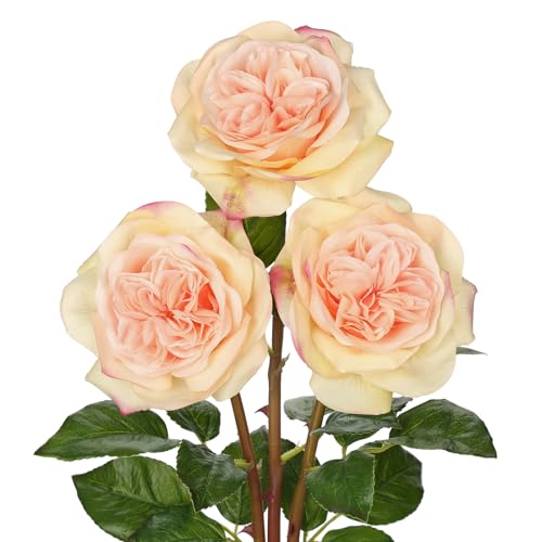 Arborus Artificial Roses - Set of 3 Long-Stem Real Touch Silk Roses, 24.4" Faux Flowers for Home Decor, Wedding Bouquets, Centerpieces & Floral Arrangements – Lifelike Peach Fake Roses