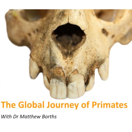How Primates Spread Across the Globe &ndash; Matthew Borths