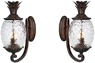 Lanai Collection 2-Light Wall Mount Outdoor Light Fixture, Black Coral - 2 Pack