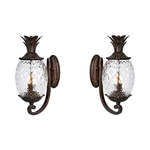 Acclaim VC-7501BC-2 Lanai Collection 2 Wall Mount Outdoor Light Fixture, Black Coral-2 Pack, 2 Count Cover