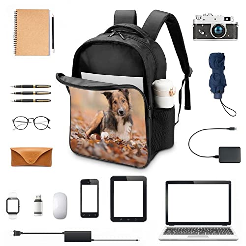School Backpack durable Collie Collie de haute résistance avec finitions soignées