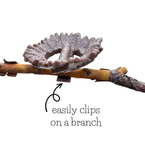 Quackups 2.6" Hummingbird Nesting Pods™, 2-Pk With Clips To Easily Attached On Branch For Outdoor Patio Garden Bird House #TOP4