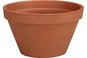 Deroma Terra Cotta Pot Heater: A Must-Have for Cold Winters