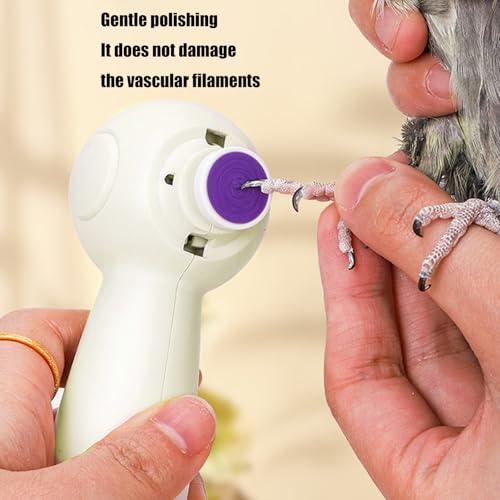 Molinillo de uñas para pájaros recargable con cabezal desmontable 6