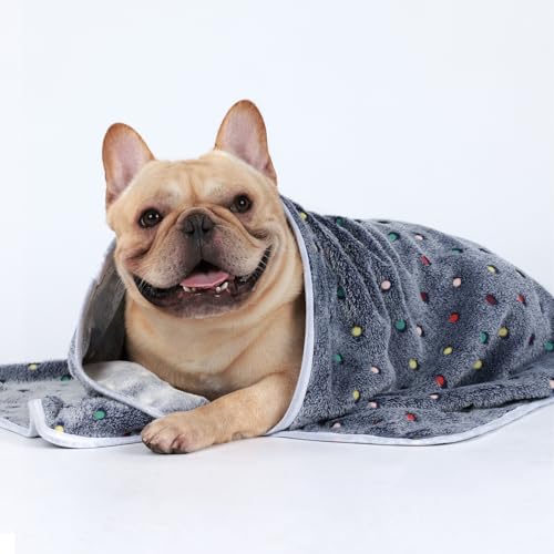 Image of 1 Pack 3 Blankets Super Soft Cute Dot Pattern Pet Blanket Flannel Throw for Dog Puppy Cat Dot Small(23x16), Grey