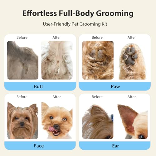 Dog Grooming Kit, Dog Clippers for Grooming for Thick Curly Coats, Professional Pet Hair Shaver Paw Trimmer Cordless Rechargeable Low Noise for Dogs Cats Animals Face Ear - Image 5