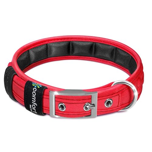 Collar para perro ajustable cómodo, impermeable y reflectante
