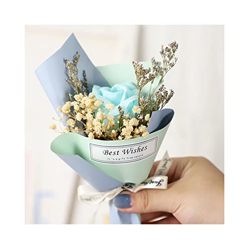 V{t[ ~jԑ tOX hCt[ \[vt[ Ăɂ҂ Ђ܂u[P  V̐  [g ސEj  v[g 5 #4