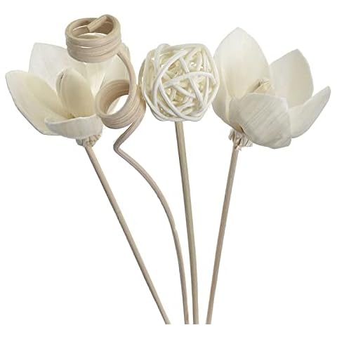 Focalmotors 5PCS Reed Diffuser Sticks, Flower Reed Diffuser Sticks Set | Rattan Reed Fragrance Diffuser and Flower Replacement Refill Sticks for Home Room Decoration Cover