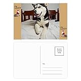 Größe: 14,6 x 9,8 cm Hunde-Postkarte, Motiv Husky, Weihnachtsmann, Geschenk, Postkarte, Dankeskarte, 20 Stück