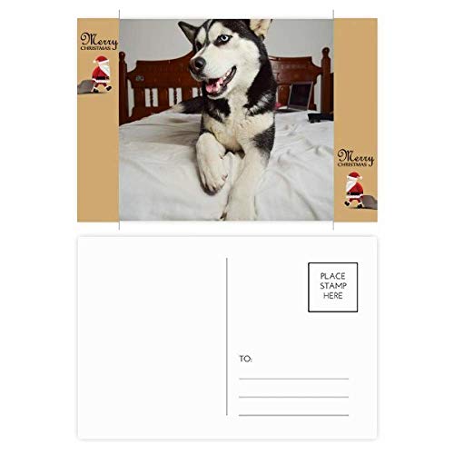 Cartes de remerciement chien Husky lot de 20 avec enveloppes